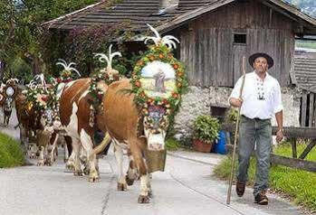 Jaeger Zillertal 3*